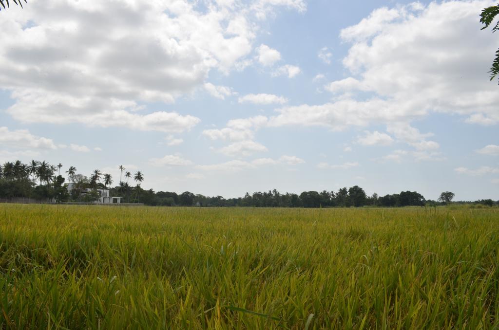 Aroma Villa Polonnaruwa Eksteriør billede